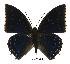  ( - BC-EV0400)  @14 [ ] Unspecified (default): All Rights Reserved  Unspecified Unspecified