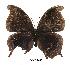  ( - BC-EV0405)  @13 [ ] Unspecified (default): All Rights Reserved  Unspecified Unspecified