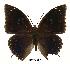  ( - BC-EV0409)  @13 [ ] Unspecified (default): All Rights Reserved  Unspecified Unspecified