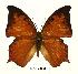  ( - BC-EV0431)  @14 [ ] Unspecified (default): All Rights Reserved  Unspecified Unspecified