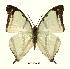  ( - BC-EV0432)  @13 [ ] Unspecified (default): All Rights Reserved  Unspecified Unspecified