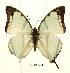  ( - BC-EV0433)  @13 [ ] Unspecified (default): All Rights Reserved  Unspecified Unspecified
