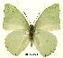  ( - BC-EV0434)  @14 [ ] Unspecified (default): All Rights Reserved  Unspecified Unspecified
