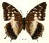  ( - BC-EV0456)  @14 [ ] Unspecified (default): All Rights Reserved  Unspecified Unspecified