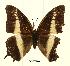  ( - BC-EV0466)  @13 [ ] Unspecified (default): All Rights Reserved  Unspecified Unspecified