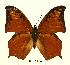  ( - BC-EV0467)  @13 [ ] Unspecified (default): All Rights Reserved  Unspecified Unspecified