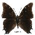  ( - BC-EV0479)  @14 [ ] Unspecified (default): All Rights Reserved  Unspecified Unspecified