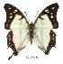  ( - BC-EV0480)  @13 [ ] Unspecified (default): All Rights Reserved  Unspecified Unspecified