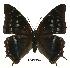  ( - BC-EV0504)  @14 [ ] Unspecified (default): All Rights Reserved  Unspecified Unspecified