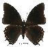 ( - BC-EV0521)  @14 [ ] Unspecified (default): All Rights Reserved  Unspecified Unspecified