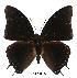  ( - BC-EV0532)  @12 [ ] Unspecified (default): All Rights Reserved  Unspecified Unspecified