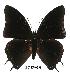  ( - BC-EV0538)  @14 [ ] Unspecified (default): All Rights Reserved  Unspecified Unspecified