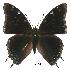  ( - BC-EV0541)  @14 [ ] Unspecified (default): All Rights Reserved  Unspecified Unspecified