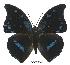  ( - BC-EV0542)  @14 [ ] Unspecified (default): All Rights Reserved  Unspecified Unspecified