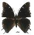  ( - BC-EV0544)  @14 [ ] Unspecified (default): All Rights Reserved  Unspecified Unspecified