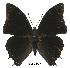  ( - BC-EV0562)  @14 [ ] Unspecified (default): All Rights Reserved  Unspecified Unspecified