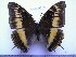  ( - BC-Turl-0193)  @11 [ ] Unspecified (default): All Rights Reserved  Unspecified Unspecified