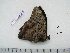  ( - BC-Turl-0213)  @12 [ ] Unspecified (default): All Rights Reserved  Unspecified Unspecified