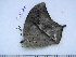  ( - BC-Turl-0247)  @13 [ ] Unspecified (default): All Rights Reserved  Unspecified Unspecified