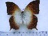  ( - BC-Turl-0250)  @14 [ ] Unspecified (default): All Rights Reserved  Unspecified Unspecified