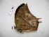  ( - BC-Turl-0257)  @12 [ ] Unspecified (default): All Rights Reserved  Unspecified Unspecified