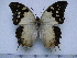  ( - BC-Turl-0266)  @12 [ ] Unspecified (default): All Rights Reserved  Unspecified Unspecified