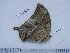  ( - BC-Turl-0269)  @12 [ ] Unspecified (default): All Rights Reserved  Unspecified Unspecified