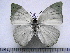  ( - BC-Turl-0280)  @13 [ ] Unspecified (default): All Rights Reserved  Unspecified Unspecified