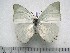  ( - BC-Turl-0289)  @13 [ ] Unspecified (default): All Rights Reserved  Unspecified Unspecified