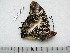  ( - BC-Turl-0323)  @11 [ ] Unspecified (default): All Rights Reserved  Unspecified Unspecified