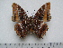  ( - BC-Turl-0354)  @11 [ ] Unspecified (default): All Rights Reserved  Unspecified Unspecified