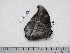  ( - BC-Turl-0360)  @12 [ ] Unspecified (default): All Rights Reserved  Unspecified Unspecified