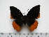 ( - BC-Turl-0361)  @13 [ ] Unspecified (default): All Rights Reserved  Unspecified Unspecified