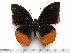  ( - BC-Turl-0363)  @13 [ ] Unspecified (default): All Rights Reserved  Unspecified Unspecified