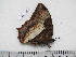  ( - BC-Turl-0364)  @12 [ ] Unspecified (default): All Rights Reserved  Unspecified Unspecified