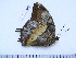  ( - BC-Turl-0366)  @12 [ ] Unspecified (default): All Rights Reserved  Unspecified Unspecified