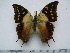  ( - BC-Turl-0457)  @13 [ ] Unspecified (default): All Rights Reserved  Unspecified Unspecified