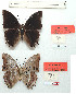  ( - BC-EV1134)  @11 [ ] Unspecified (default): All Rights Reserved  Unspecified Unspecified