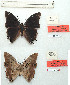  ( - BC-EV1136)  @11 [ ] Unspecified (default): All Rights Reserved  Unspecified Unspecified