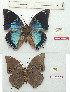  ( - BC-EV1144)  @11 [ ] Unspecified (default): All Rights Reserved  Unspecified Unspecified