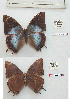 ( - BC-EV1166)  @11 [ ] Unspecified (default): All Rights Reserved  Unspecified Unspecified
