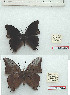  ( - BC-EV1167)  @11 [ ] Unspecified (default): All Rights Reserved  Unspecified Unspecified
