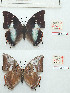  ( - BC-EV1170)  @11 [ ] Unspecified (default): All Rights Reserved  Unspecified Unspecified
