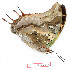  ( - BC-EV1182)  @11 [ ] Unspecified (default): All Rights Reserved  Unspecified Unspecified