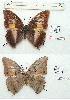  ( - BC-EV1192)  @11 [ ] Unspecified (default): All Rights Reserved  Unspecified Unspecified