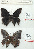  ( - BC-EV1197)  @11 [ ] Unspecified (default): All Rights Reserved  Unspecified Unspecified