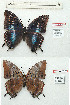  ( - BC-EV1198)  @12 [ ] Unspecified (default): All Rights Reserved  Unspecified Unspecified