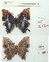 ( - BC-EV1199)  @11 [ ] Unspecified (default): All Rights Reserved  Unspecified Unspecified