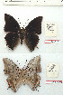  ( - BC-EV1200)  @11 [ ] Unspecified (default): All Rights Reserved  Unspecified Unspecified