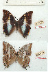  ( - BC-EV1201)  @11 [ ] Unspecified (default): All Rights Reserved  Unspecified Unspecified